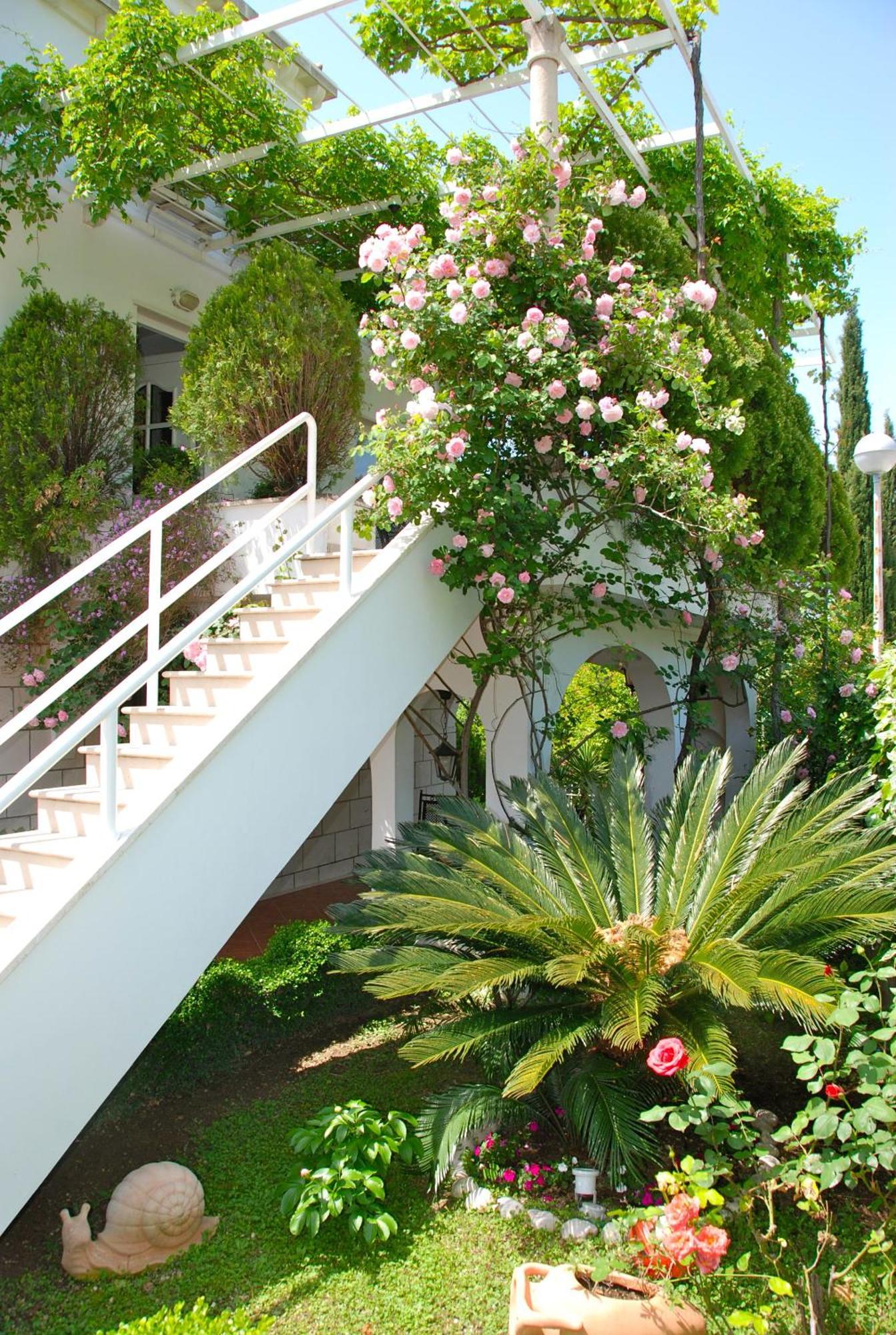 Villa Mediterranea Mlini Esterno foto