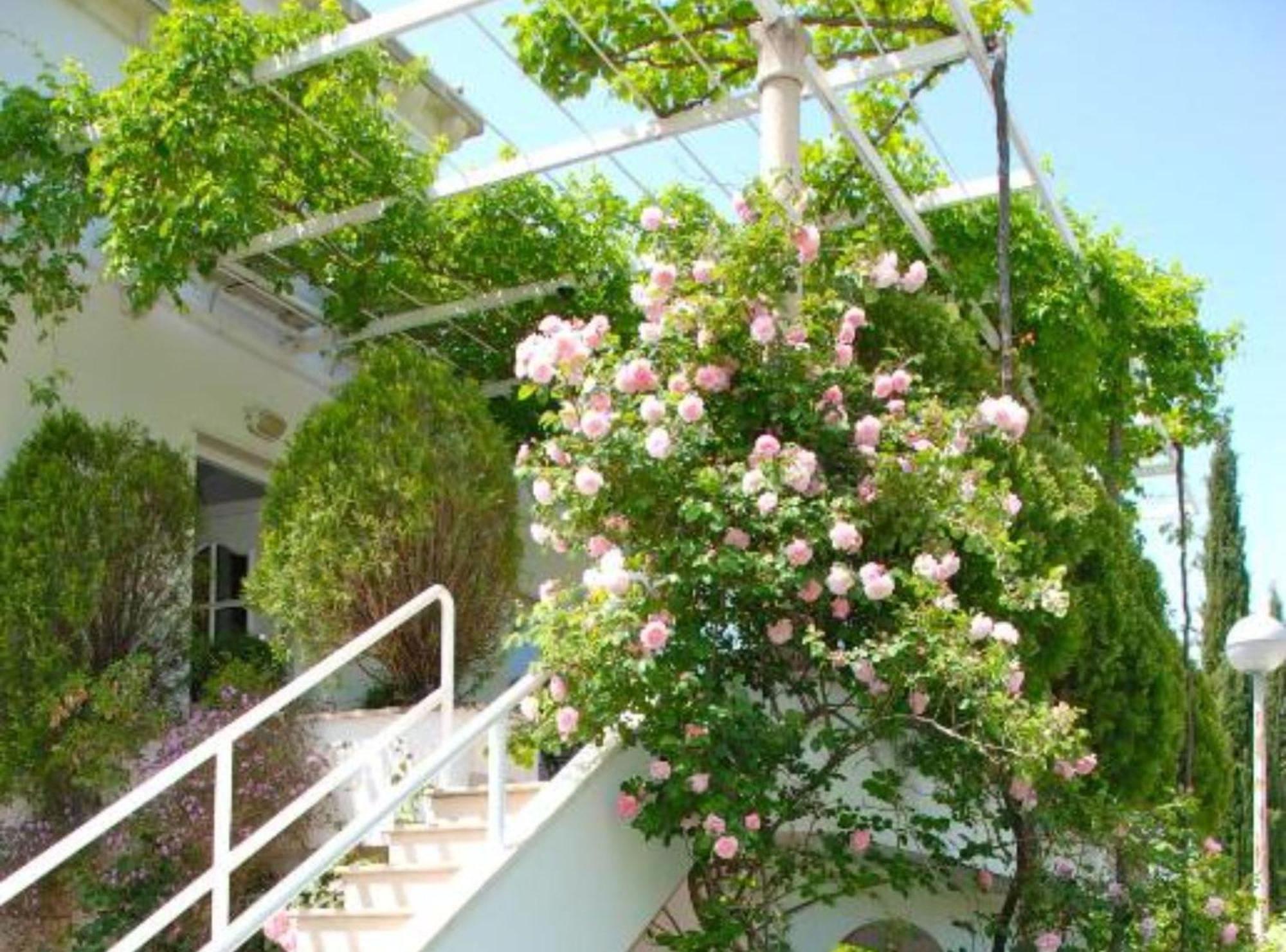 Villa Mediterranea Mlini Esterno foto